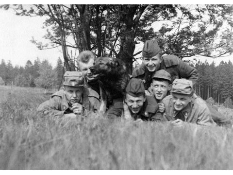 Foto 12